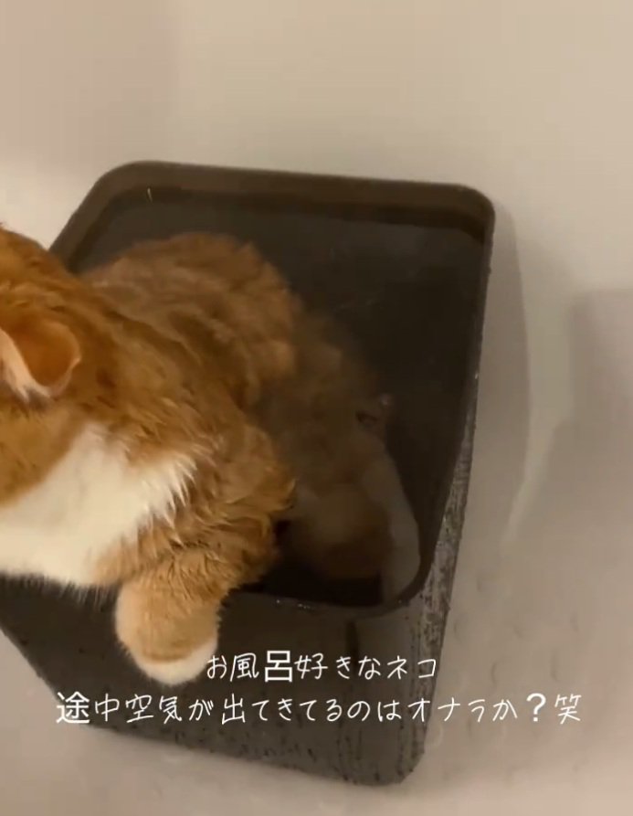 おならをするエトくん