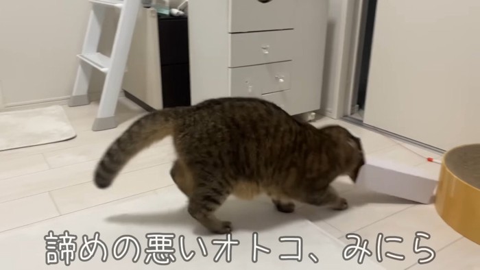 諦めの悪いオトコ