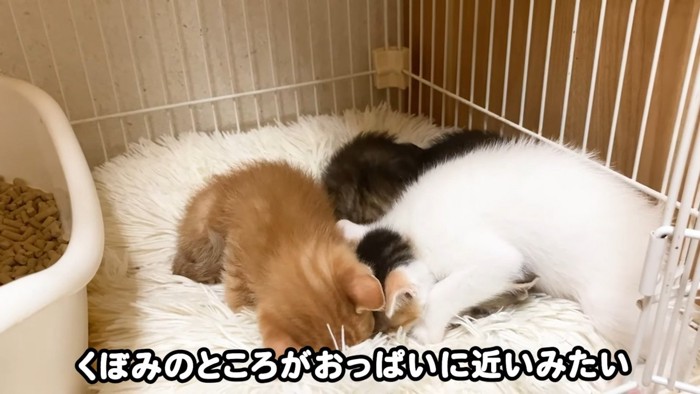 くぼみのところが~近いみたい