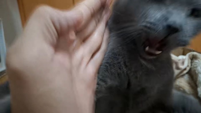 チョップで反撃