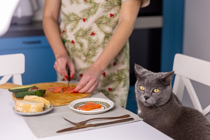 テーブルの上で食材をカットする女性と椅子の上の猫