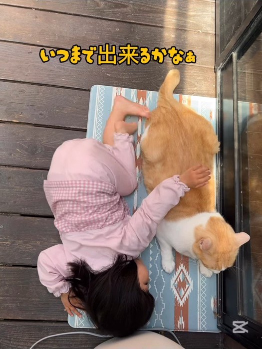 猫の背中に手を置く子供