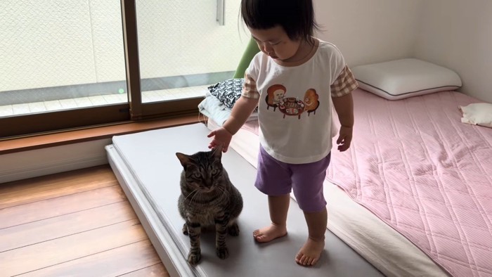 並ぶふたり
