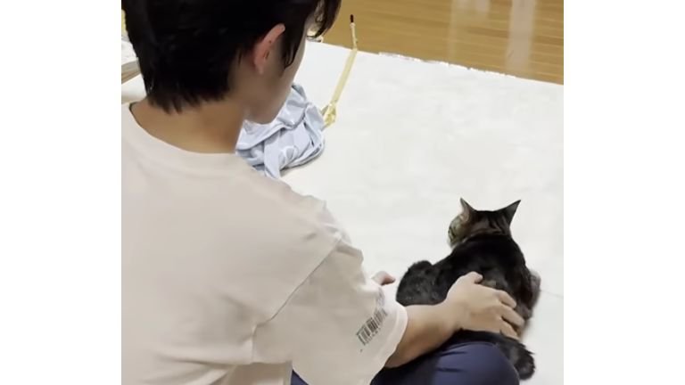 猫と男性