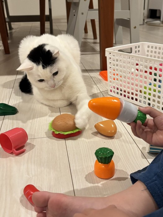 おもちゃで遊ぶたけるくん