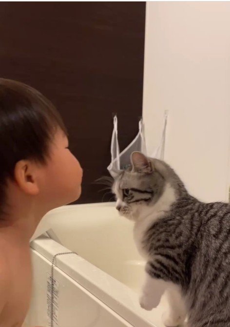 猫にキスをしようとしている子ども
