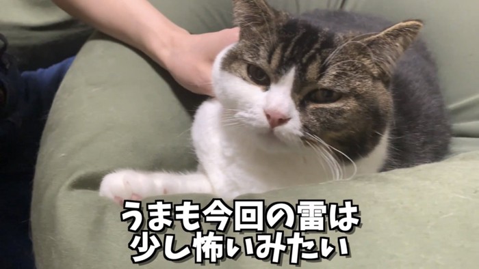 「うまも今回の雷は...」のテロップ写真2