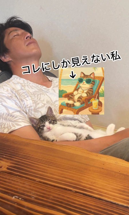 パパさんの上でくつろぐ子猫