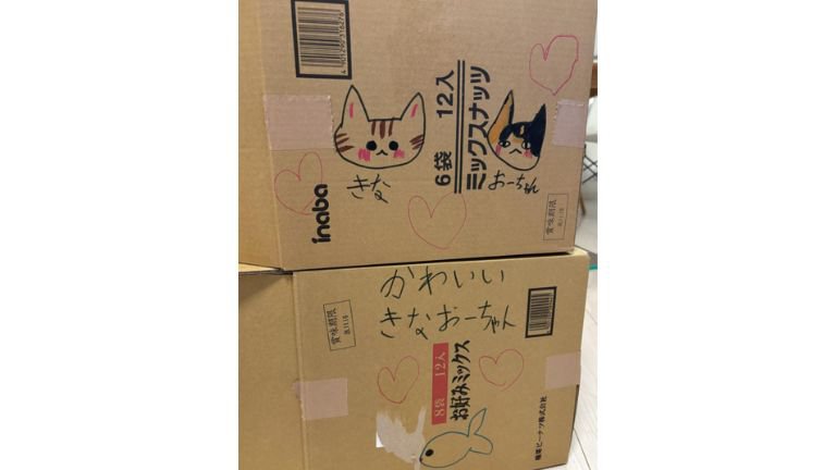 ダンボール箱