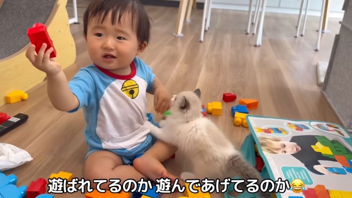 テロップ「遊ばれてるのか~」