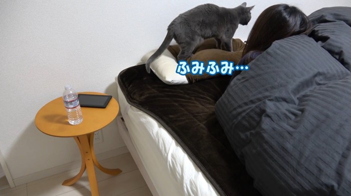 枕をふみふみしている猫