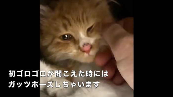 テロップ「初ゴロゴロが～」