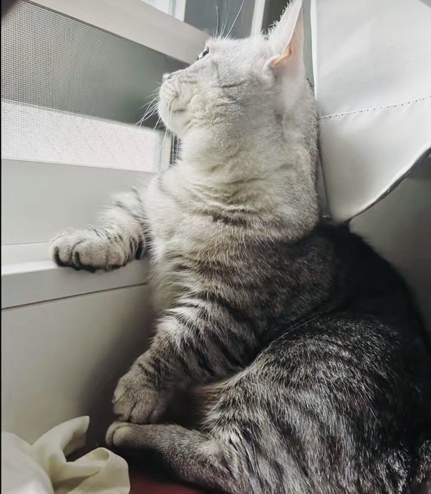 窓際に片手をつくジェネッタ