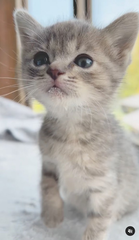 首を伸ばすコユビちゃん