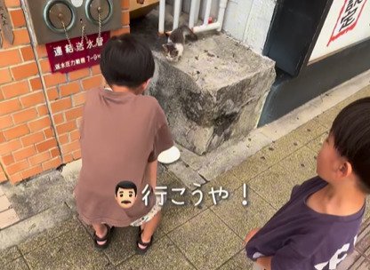 子猫の側に座る少年