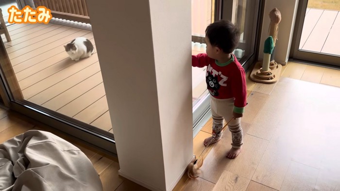 テロップ「たたみ」