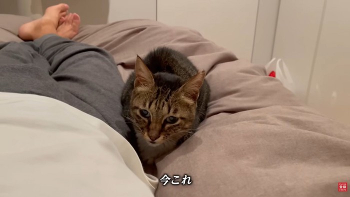 テロップ「今これ」