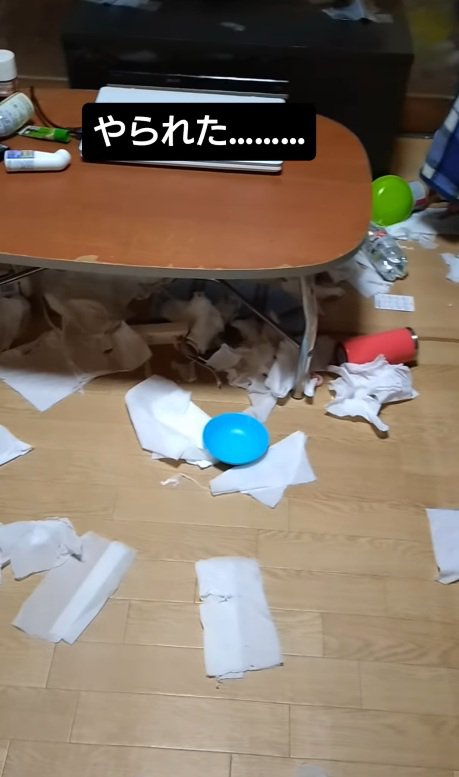 ティッシュが散乱する部屋