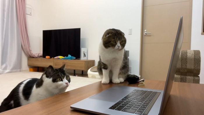 席に座るうま次郎くん