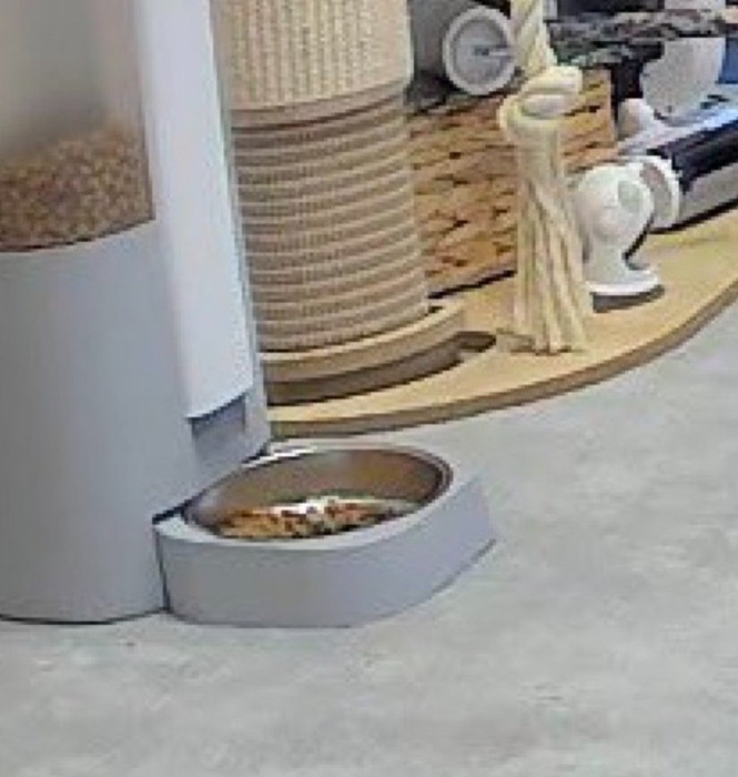 自動給餌器の前に置かれた、キャットフードの入った皿