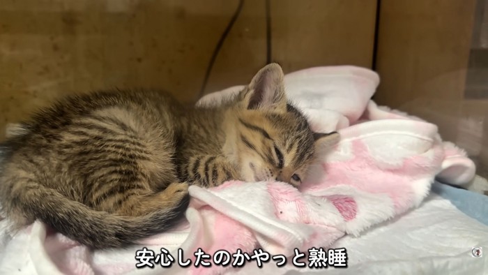 テロップ「安心したのか～」