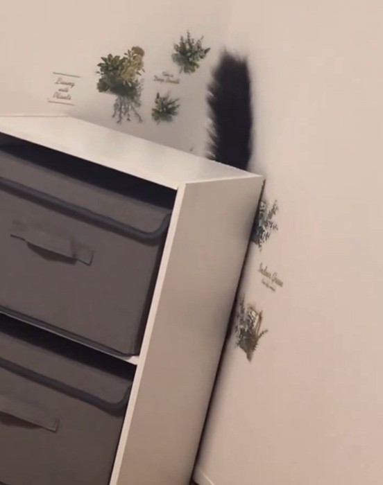 下に落ちるジジちゃん