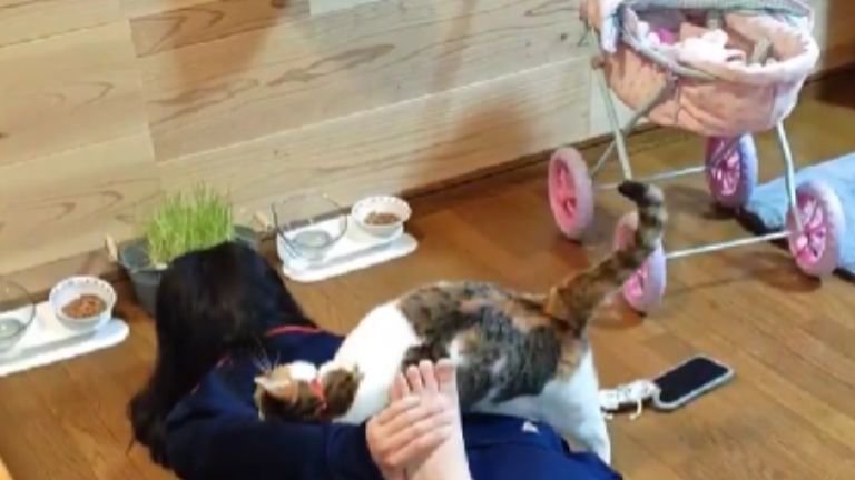 ストレッチ中の女性と猫