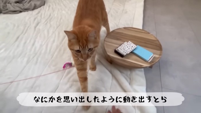 テロップ「なにかを思い出した~」