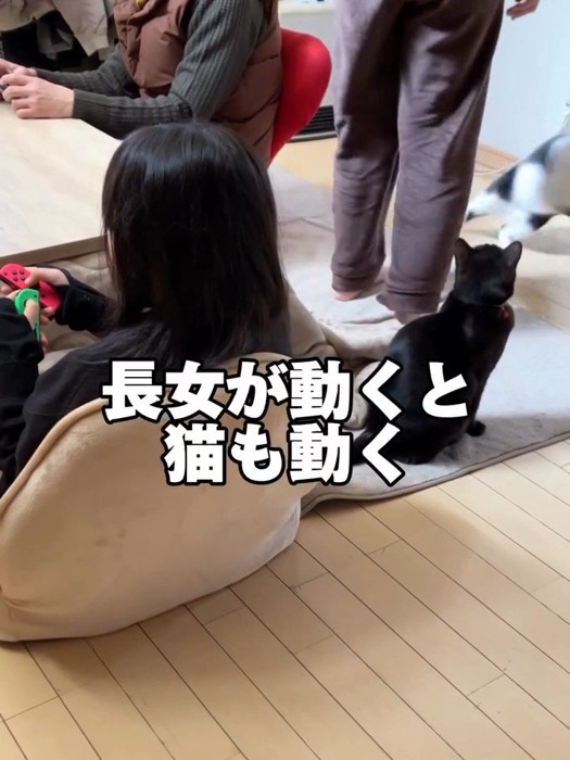 走っていく白黒猫