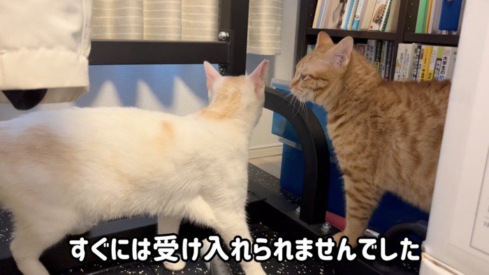 「すぐには受け入れられませんでした」のテロップ写真