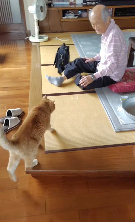 おじいちゃんに歩み寄る猫