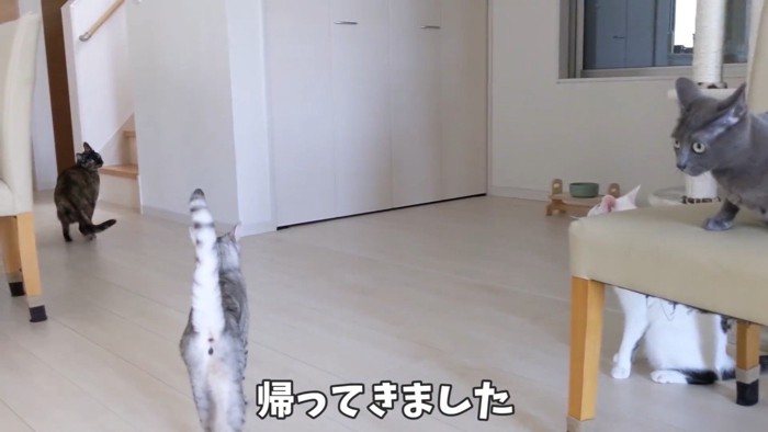 帰ってきました