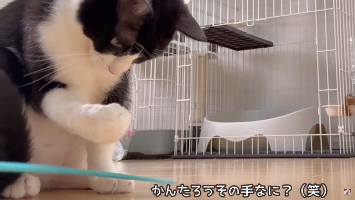 かんちゃんのガッツポーズ