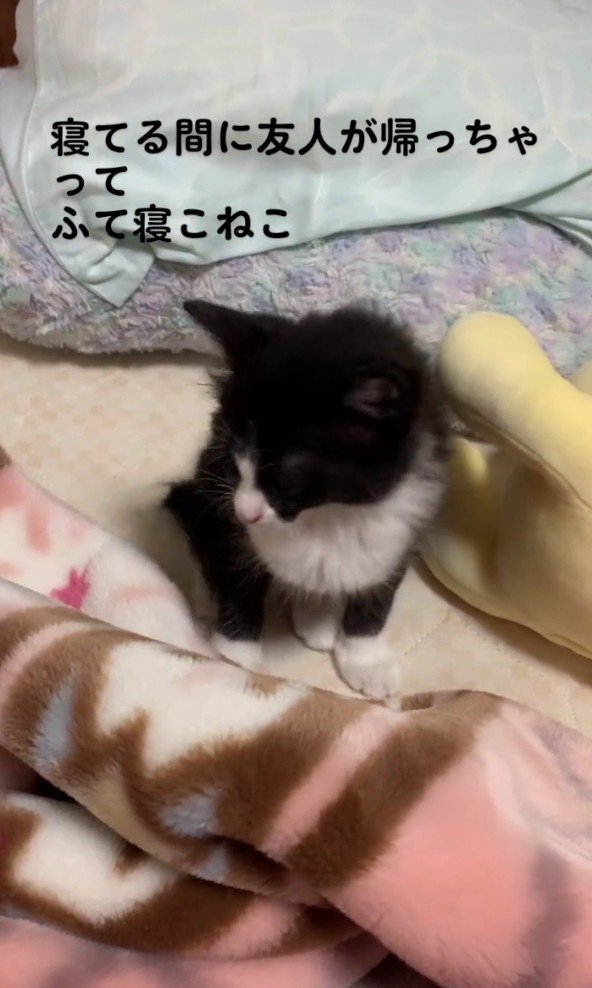 拗ねているねむちゃん