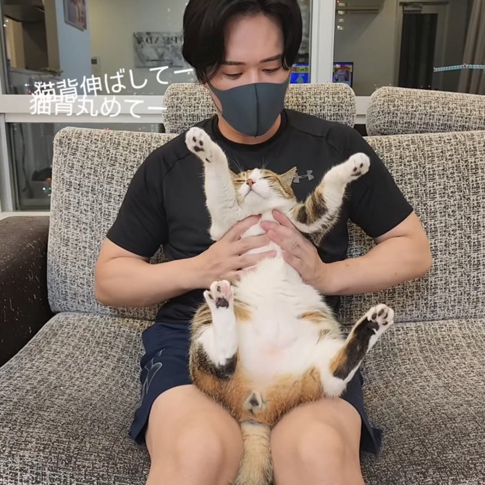 バンザイする猫