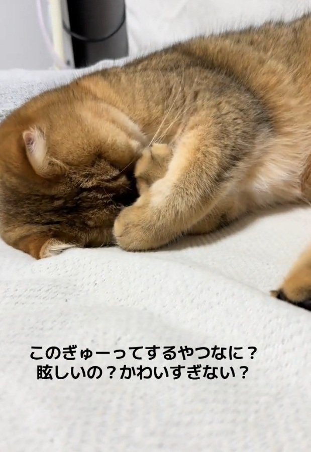 ギュッと目を押さえるがんもどきくん