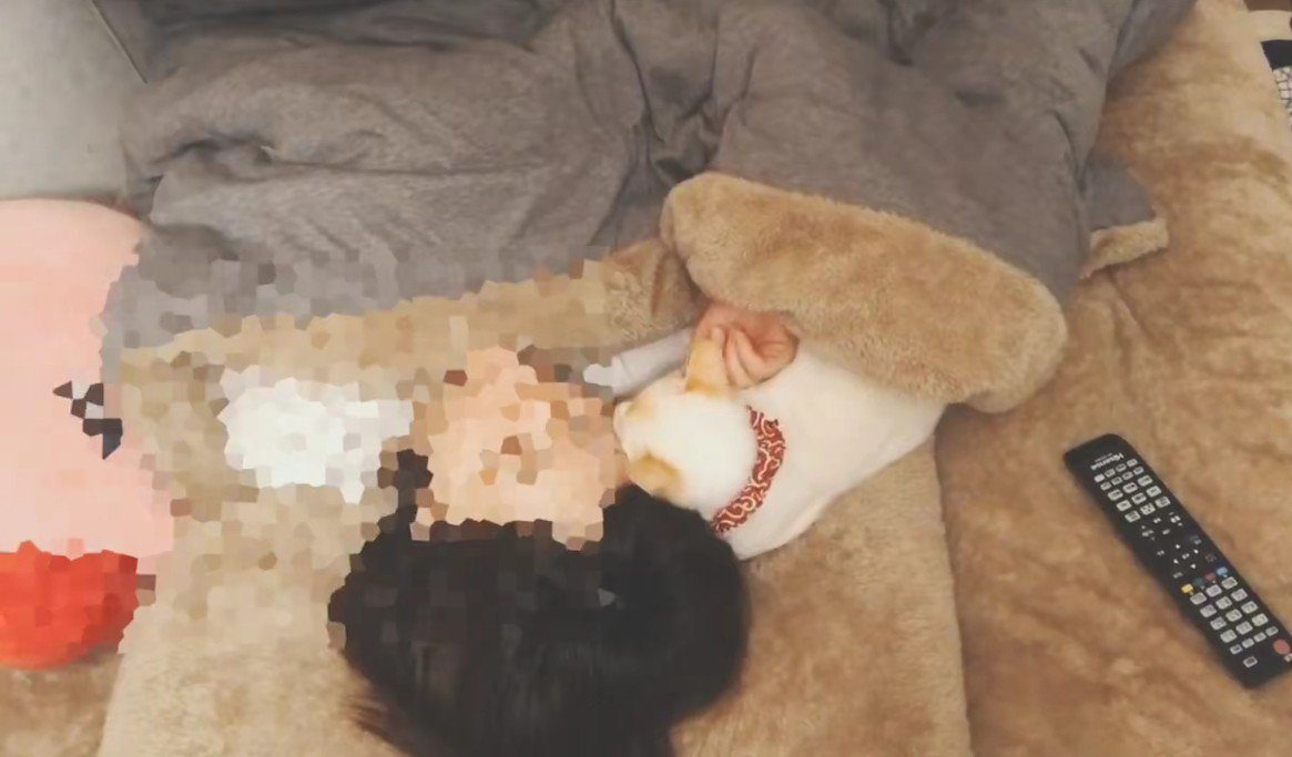 一緒に寝る猫と飼い主