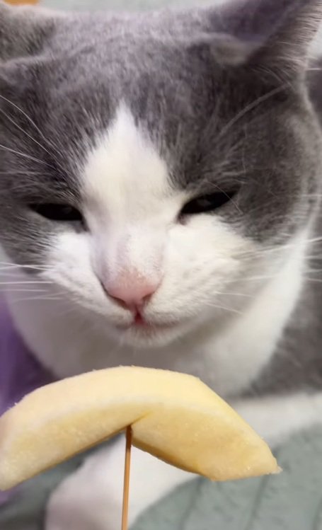 表情が変わるそらくん