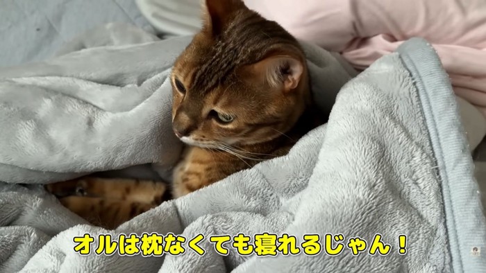 テロップ「オルは枕なくても～」