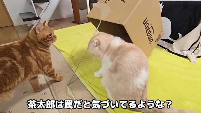 罠だと気づいてるような?