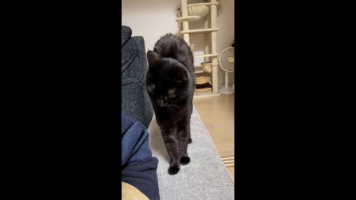 背中を丸めて伸び