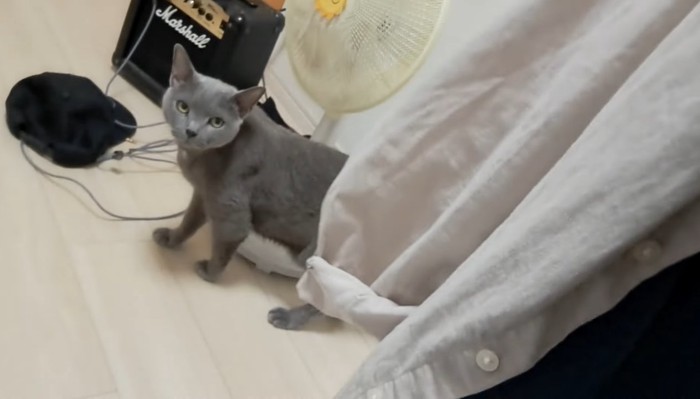 少し離れたところから