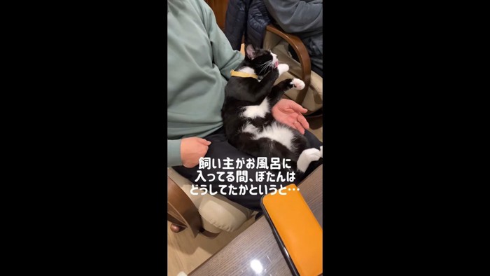 飼い主がお風呂に入ってる間