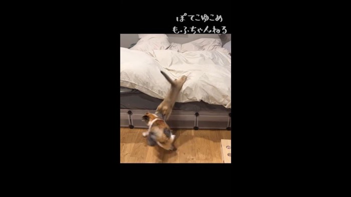 ベッドからダイブ