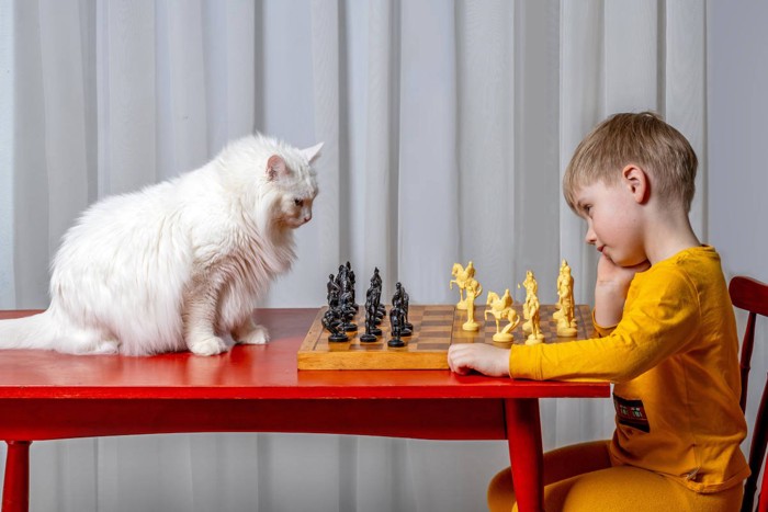 子供とチェス中の猫