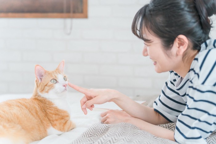 女性と猫