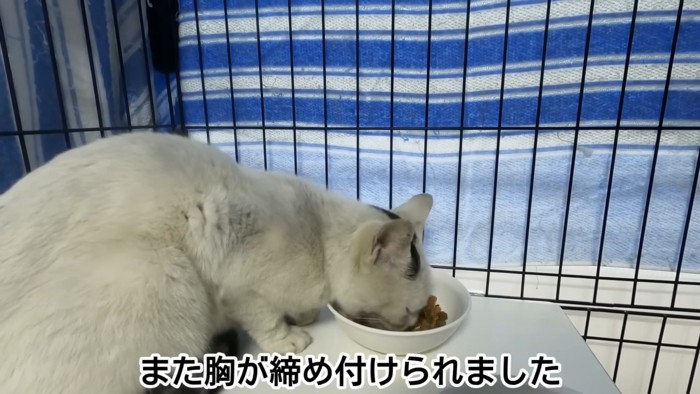 テロップ「また胸が締め付けられました」