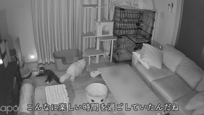 テロップ「こんなに楽しい時間を~」