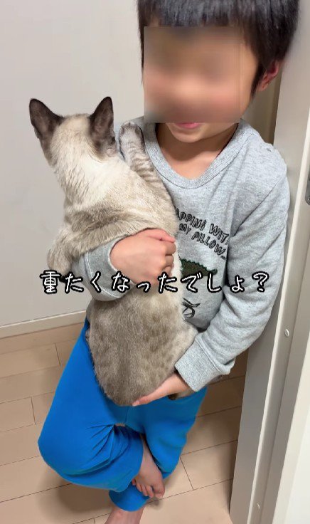 猫を抱っこする男の子