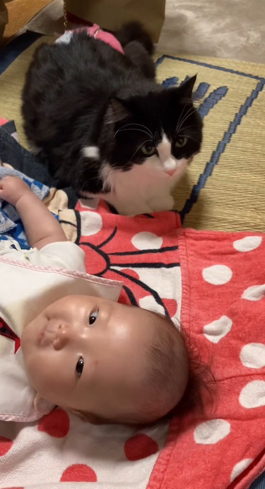 赤ちゃんの隣で周囲を見回す猫